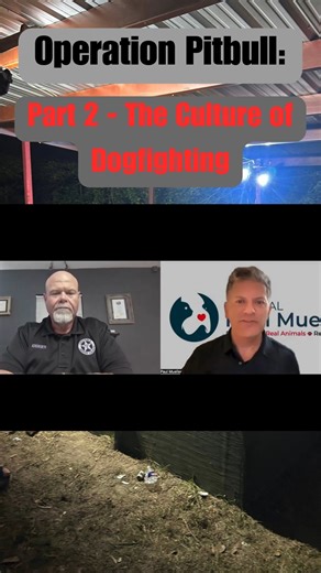 🚨 Operation Pitbull: The Culture of Dogfighting (Part 2) 🚨 🐾 This is the first installment of my exclusive one-on-one interview with Jasper County Constable Chad Ainsworth. On Monday night, he walked me through how the bust unfolded—completely spur-of-the-moment. Timing was everything. No one had a clue law enforcement was on-site until those vehicle doors swung open and chaos ensued. Dogs were still in the ring fighting as the suspects scattered. 🐶 Tonight, he talks about the culture of dog