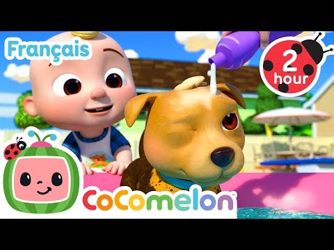 La chanson du bain de Bingo | Chansons pour enfants | CoComelon Le coin des Animaux - Comptines Bébé