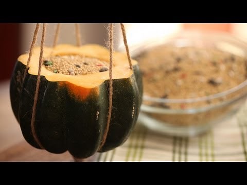 DIY Squash Bird Feeder
