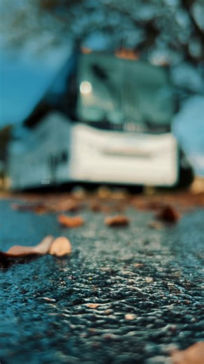 🚌 From sports teams to school trips, weddings to corporate outings, our growing fleet of 25 luxury charter buses is ready to take your group anywhere in comfort and style. ✨ Plush seating, free Wi-Fi, on-board restrooms & the best drivers in Metro Detroit. Recap your best travel moments with us and let’s create your next adventure together! Book today → #LinkInBio 💬 Share your best travel memory in the comments below! #NationalTrailsBus #CharterBus #CharterBusRental #CharterBusRentalDetroit #C