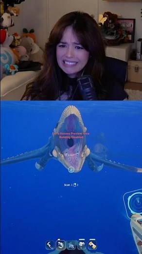 Rae Finds The Edge Of The Subnautica 2 Map..