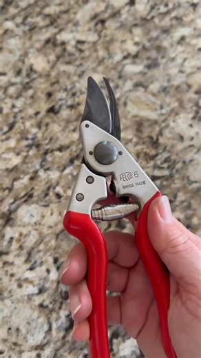 An easy, DIY tutorial for cleaning garden pruners without using harsh chemicals. These are my favorite garden pruners from-001 | blaze.rhcb
