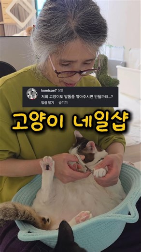 I asked my mom if she could trim another house's cat's claws.