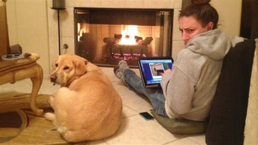 Never feel lonely when a loyal dog is by your side