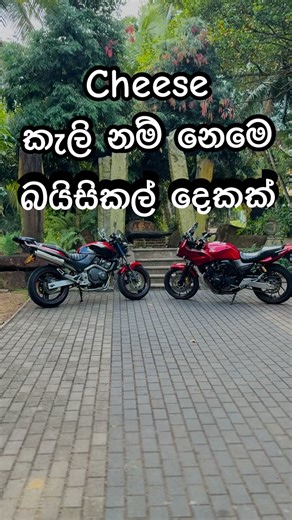 Hornet vs cb4 😍🇱🇰 #bikelover #hondabike #hornet250 #subscribe