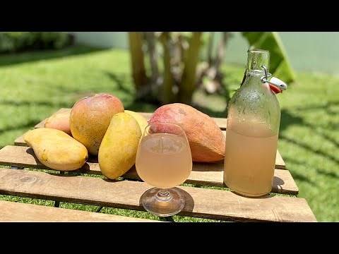MANGO WINE how to make at home - Healthy Homemade Wine without Yeast - Easy recipe for beginners