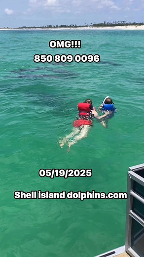 313K views · 3.7K reactions | Look at this young boy and mom get to swim with this pod of dolphins at shell island!!! Come see us for an unforgettable experience #familyvacation #travelflorida #adventuretravel #adventure #florida #travel #snorkeling #panamacitybeachflorida #fypシ #fypviralシ #foryoupageviralシ゚ #summer2025 #memorialweekend #june | Shell Island Dolphin Tours LLC | Facebook
