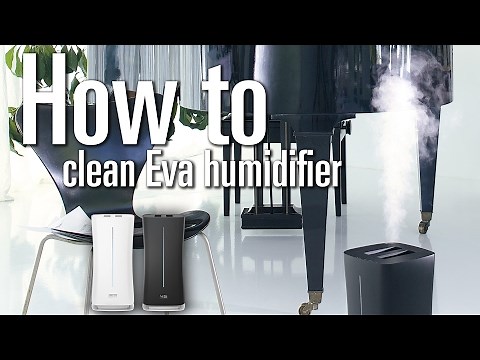 How to clean Eva humidifier