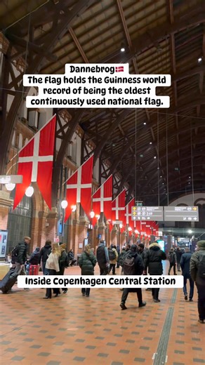 Dannebrog🇩🇰 The Flag holds the Guinness world record of being the oldest continuously used national flag. #denmark #greenland #copenhagen #travel #highlightsシ゚ | JC GLARZ VLOGS