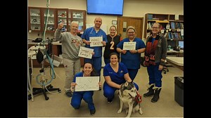 226 reactions · 24 comments |  拾 2023: Our Favorite Memories 拾 As we look forward to a wonderful new year with our team, patients and clients, we can’t help but reflect on our favorite memories from 2023. Take a little walk down memory lane with Grady Veterinary Hospital. | Grady Vet | Facebook