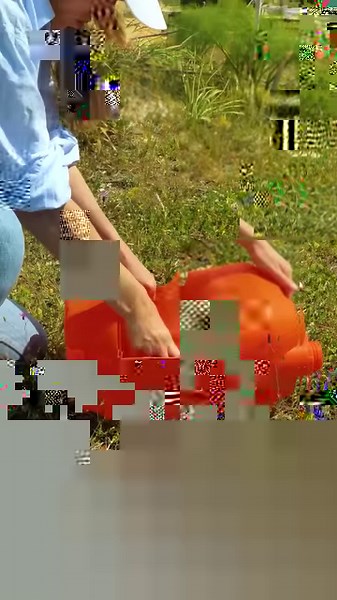 1.3M views · 7.8K reactions | Farming Made Easy! Innovative Hacks for Comfy Living! | 5-Minute Crafts | Facebook