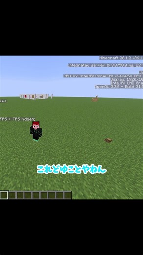 どういう状況？ #minecraft #ゆっくり実況 #マインクラフト #java #マイクラ