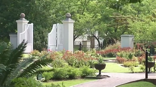 Cherry Blossom Festival returning to Birmingham Botanical Gardens