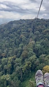 Nyungwe Forest Zipline Experience! Discover the best of Nyungwe Forest on a Zipline rope that rewards you with a great forest view. Go above the forest canopy as you test your adrenaline and discover the best of Nyungwe Forest! Let’s have this included on your Rwanda tour with One More Adventure Safaris. Get in touch for more Rwanda packages #nyungwezipline #ZiplineexperienceinNyungwe #Rwandazipline #nyungwenationalpark #onemoreadventure #onemoreadventuresafaris #ziplineexperienceinnyungwe #Nyun