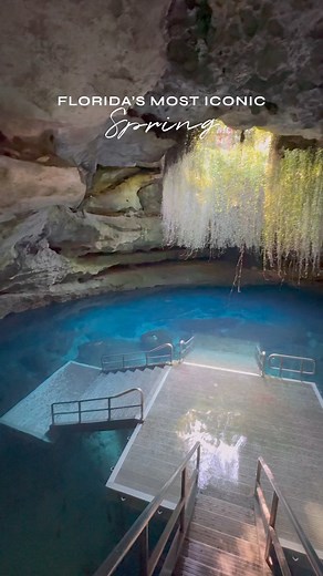 Florida's most iconic spring  Devil's Den is an underground spring...