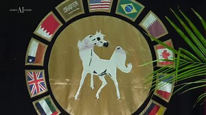 242K views · 10K reactions |  SM AZRAFF  磊 Gold Champion Senior...