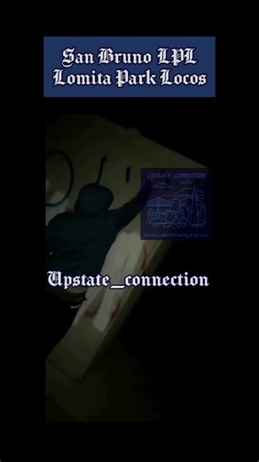 Lomita Park Locos: Exploring Upstate Sureno Culture