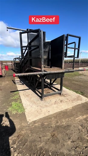 KazBeef: Exploring the Unique Flavors of Kazakh Cuisine