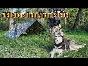 The Ultimate A Frame Tarp Setup!