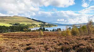 Open Country - Rediscovering Redesdale - BBC Sounds