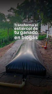 El Biodigestor: Es un reactor hermético para transformar desechos diarios en biogás y biol. ¡Fomentando la sostenibilidad en la granja! 🌱♻️ #Biodigestor #GranjaSostenible #Biogás #FertilizanteOrgánico #Sostenibilidad #EnergíaRenovable #CuidadoDelMedioAmbiente | Rotoplast Colombia