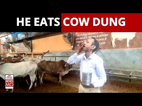 Haryana Doctor Recommends Eating Cow Dung To Pregnant Women | NewsMo