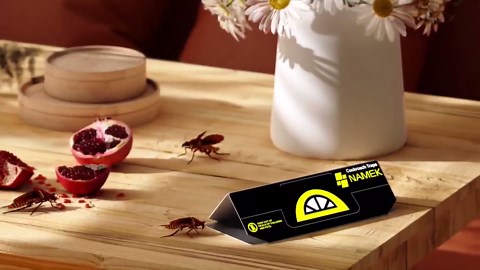 20-Pack Indoor Adhesive Cockroach Traps - Cockroach Glue Traps for Cockroachs Catchers - Long Lasting and Non-Toxic, Suitable for Children and Pets - Trap Pests