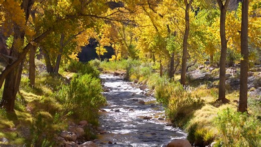 27K views · 759 reactions | Spend a Minute Out In It at Phantom Ranch...