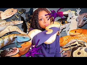 Meet All My Pets! (20+) 2021