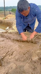 215K views · 1.2K reactions | Ghas ke upar mitti ko kyon lagate Hain #farming #garmin #nature | Anil More | Facebook