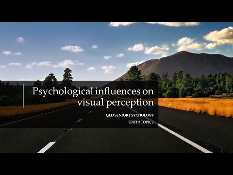 Psychological Influences On Visual Perception