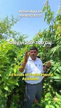 फल के पौधे, अभी उगाएँ || फल के पौधे उगाने का सबसे अच्छा समय || Fruit Plant Best Growing Time