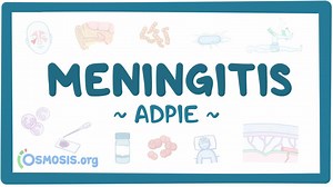 Meningitis: Nursing process (ADPIE): Video, Causes, & Meaning | Osmosis