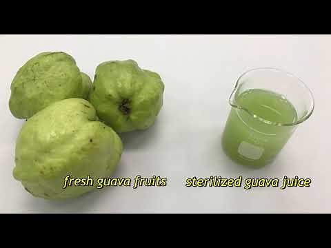 Vitamin C determination by Indophenol dye titration