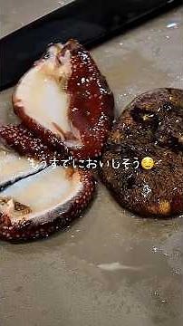 【リベンジ】なまこ、さばきます。 #ナマコ #さばく #飯テロ #料理 #リベンジ