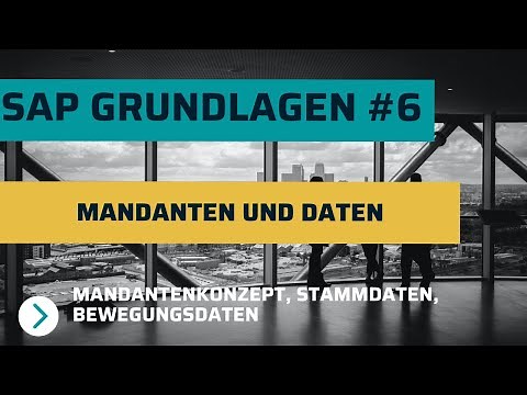 SAP Grundlagen #6 - Mandanten, Stamm- und Bewegungsdaten im SAP System | Mandantenkonzepte