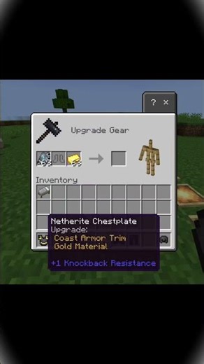 ​Better Than boring Netherite armor? 👀