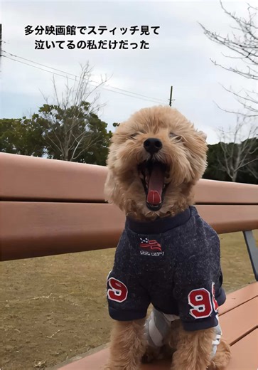 太陽の戦士レオーナ: 大川成美の魅力