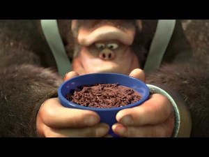 CCP Equity Mini Crocs 30s