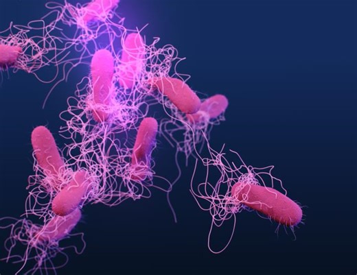 A Microbial Pathogen Can Target an Electrical Signal in the Gut | Cell And Molecular Biology
