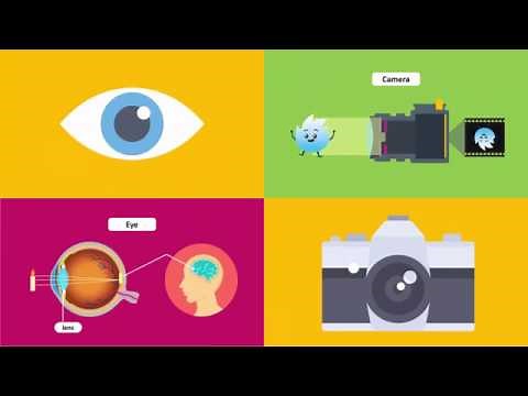 Compare the Working of a Human Eye with a Camera Lens _ Knowledge Platform