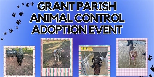 The Grant Parish Sheriff’s Office Animal Control is hosting an adoption event