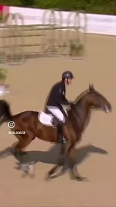 Moments from CSIO5* Rome 💚🤍❤️ Lector vd Bisschop 🥇 & 🥉 during the week🙌 Kasanova de la Pomme best Belgian horse in the Nations Cup & 6th in the 5* GP 1.60m on sunday 🏆@piazzadisiena @karline_db @koenvereecke @alexandre_le_gac 💥 #staldemuze #kasanovadelapomme #lectorvdbisschop #csiorome #italy #horse #horses #grandprix #equine #pferd #stallion #stallions #equestrian #horseriding #horsepower #horseshow #equinesofinstagram #horsesofinstagram #instahorse #equestrians #horserider #dnademuze #b