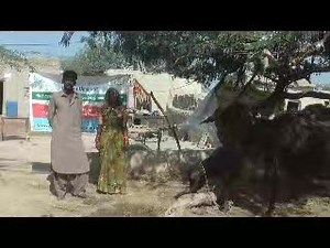 Thardeep Rural Development Programme is implementing National Poverty Graduation Programme which is flagship programme of Ministry of Poverty Alleviation and Social Safety, Govt of Pakistan, for poverty graduation. (December 21, 2023) Ministry of Poverty Alleviation and Social Safety International Fund for Agriculture and Development | Thardeep Rural Development Programme