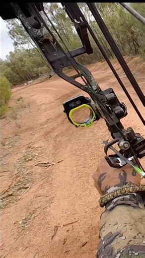 Sending it - bow hunting #archery #bowhunting #australia