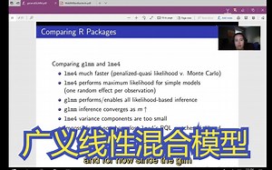 广义线性混合模型学习：从概念到实践