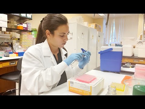 How to construct DNA libraries using Genotyping-by-Sequencing (GBS)/ddRADseq