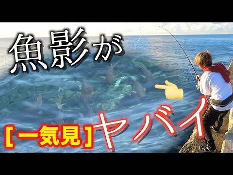【一気見】南大東島で大物を狙う！！【釣り王国】
