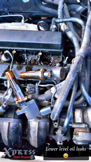 We fix any and all oil leaks! #chicago #mechanic #auto #autorepair #engine