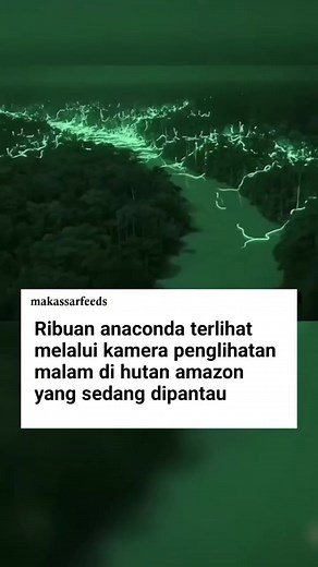 Ular Anaconda Raksasa di Hutan Amazon